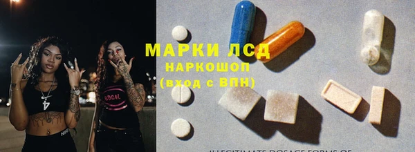 гашик Баксан
