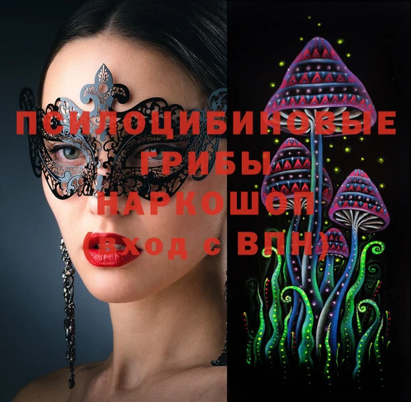стаф Балахна