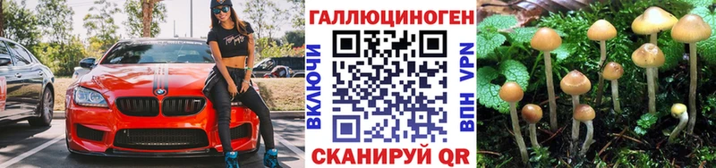 KRAKEN зеркало  купить  цена  Новый Уренгой  Галлюциногенные грибы мухоморы 