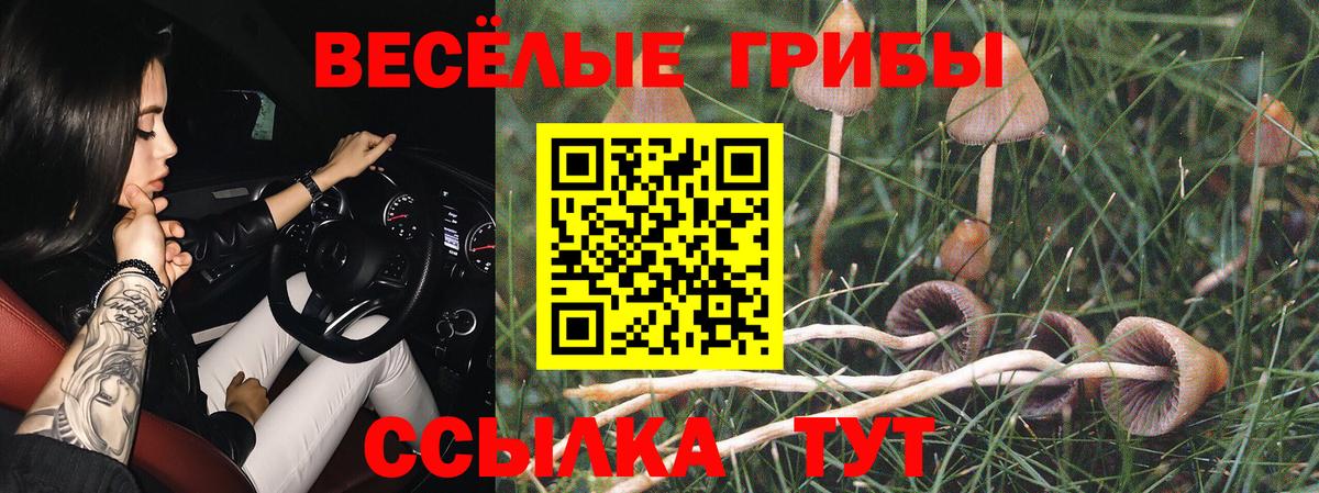 Псилоцибиновые грибы ЛСД  Вход с VPN  Новый Уренгой 